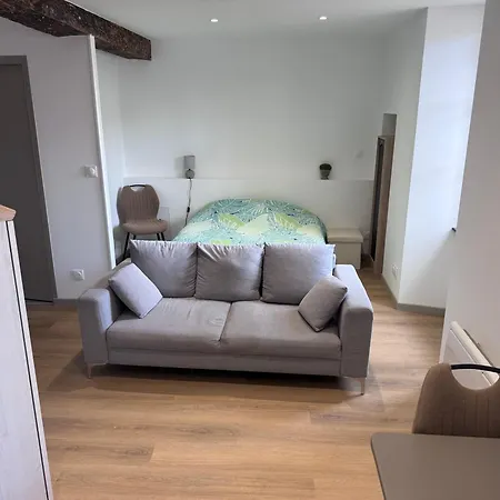 Apartment Renove Au Coeur Du Centre Historique De *